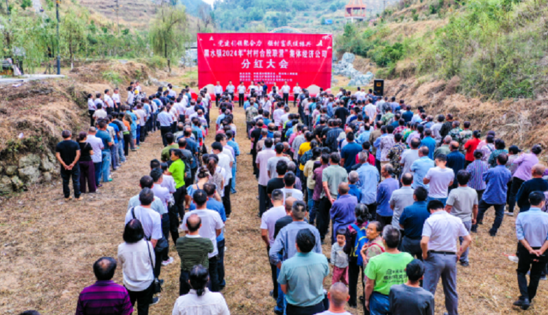 8-800“村村合股联营”集体经济公司进行分红.png
